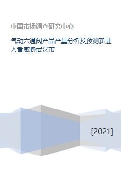 氣動六通閥產品產量分析及預測新進入者威脅武漢市