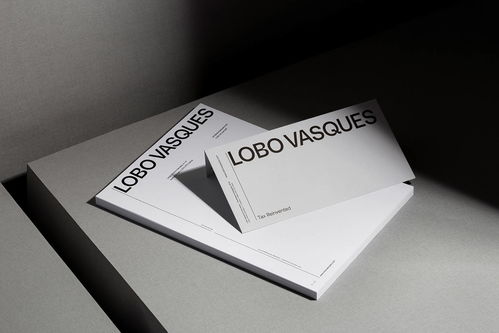 拉丁風范與司法權威的完美融合 Lobo Vasques 精品律師事務所品牌形象設計